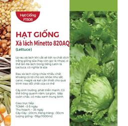 Hạt giống Xà lách Minetto - Gói 50gr
