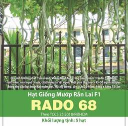 Hạt giống Mướp rắn - Gói 50 hạt