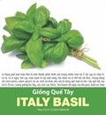Hạt giống Quế tây ITALY BASIL 2gr