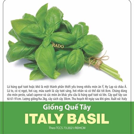 Hạt giống Quế tây ITALY BASIL 2gr
